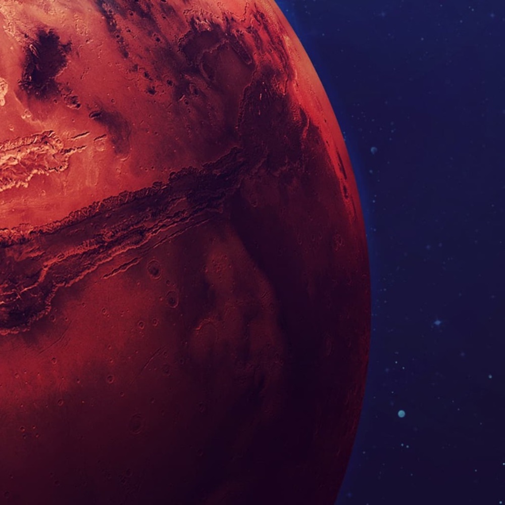 Meet your Posher, Linsy